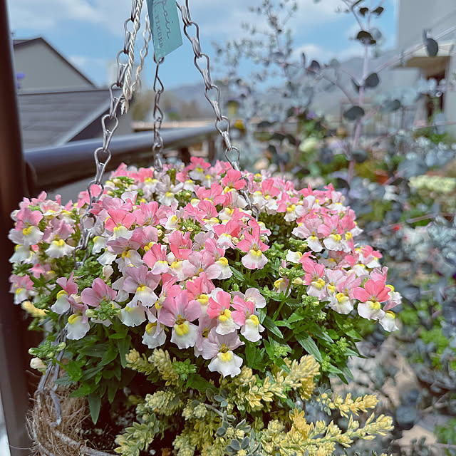 Tenさんの部屋