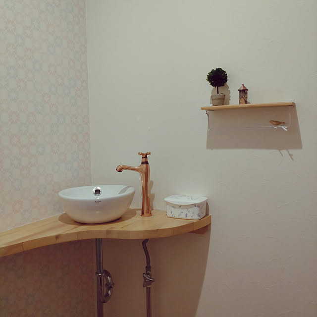 hir0miさんの実例写真