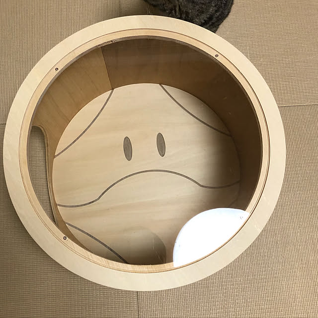 softさんの実例写真