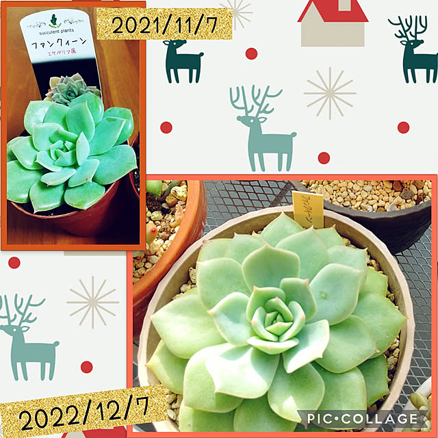 meiさんの実例写真