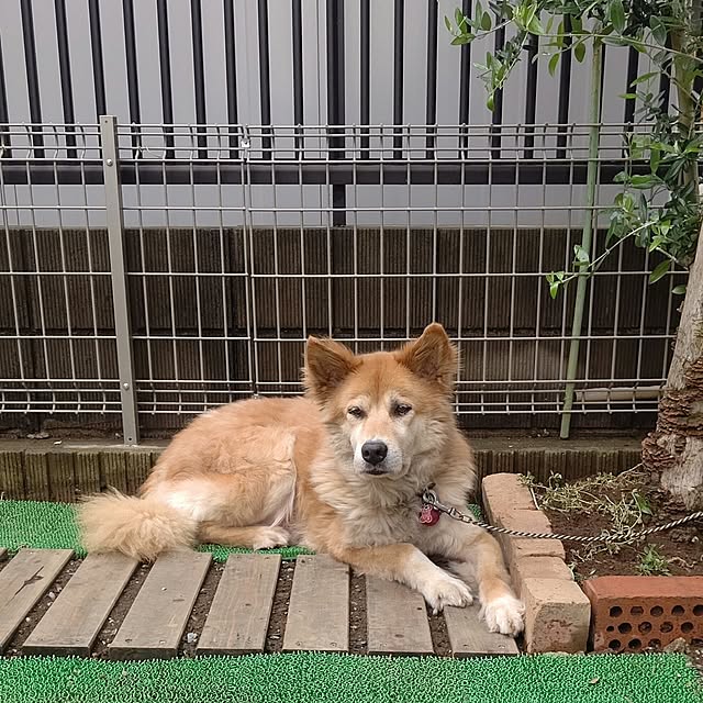 Ri-さんの実例写真