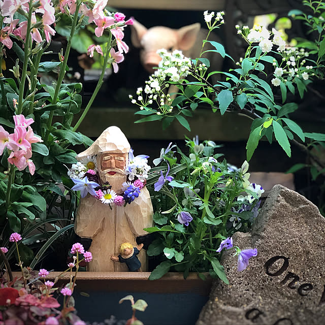 satochanさんの実例写真