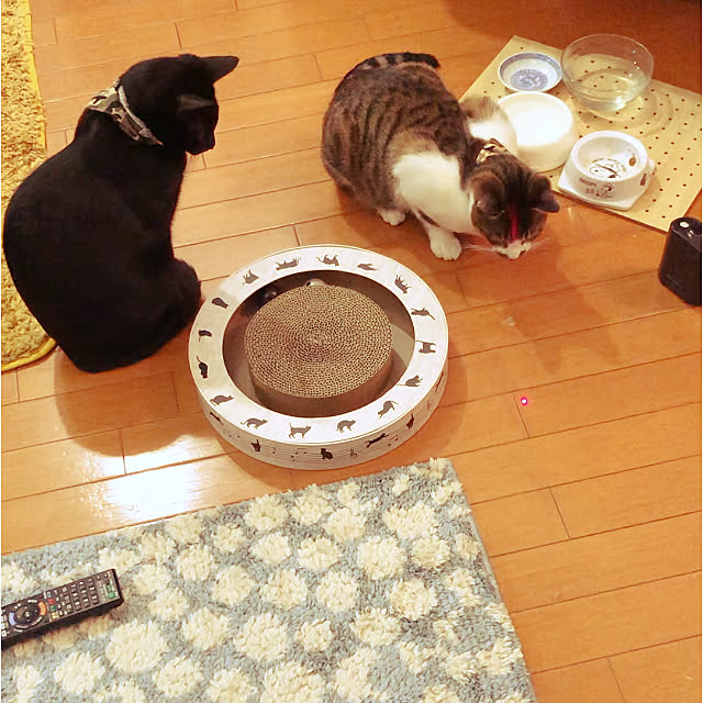 jijiさんの実例写真