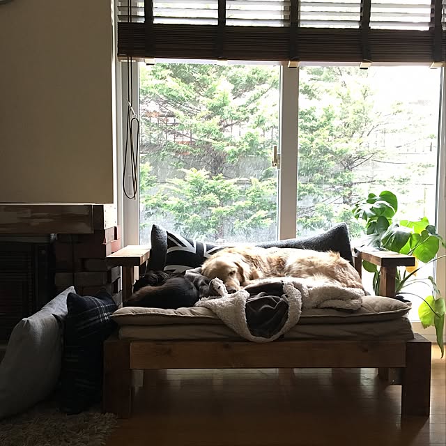 tomowithdogさんの実例写真