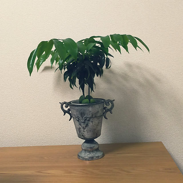 mmpoohさんの実例写真