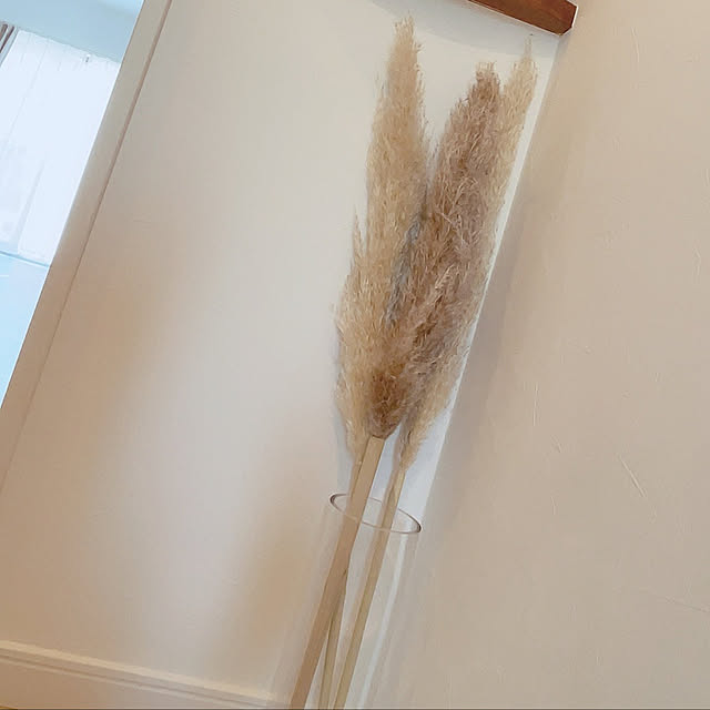 m_homeさんの実例写真
