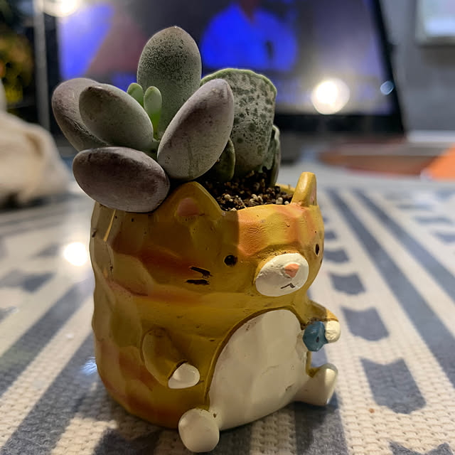 Aqettyさんの部屋