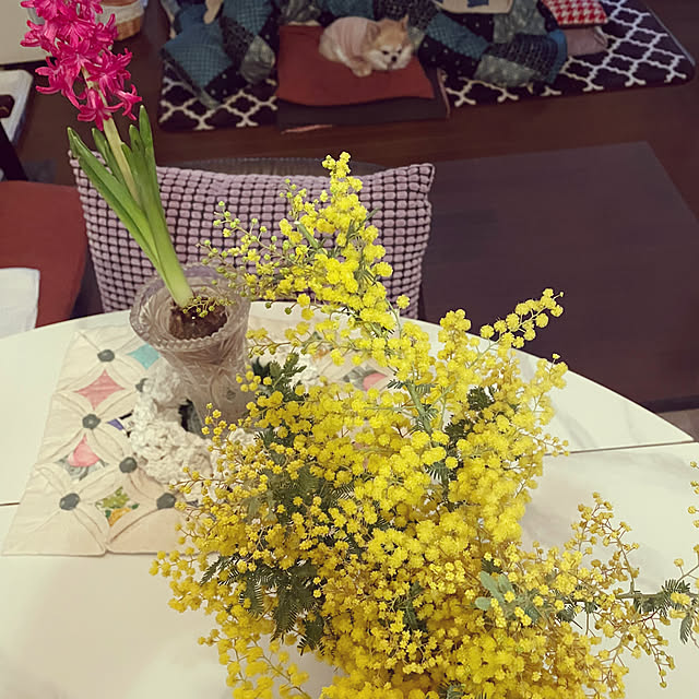 natsumiさんの部屋