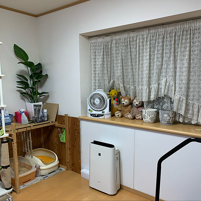 mohimikanさんの実例写真