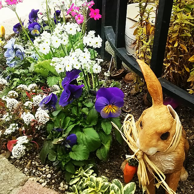 hiさんの実例写真