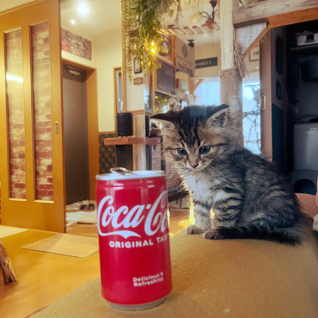Mさんの実例写真