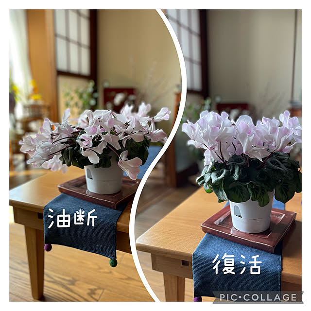 buchiさんの実例写真