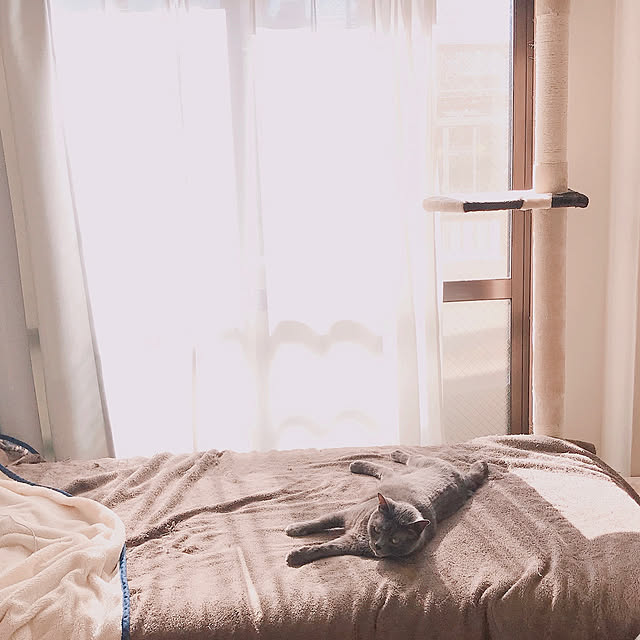 hiさんの実例写真