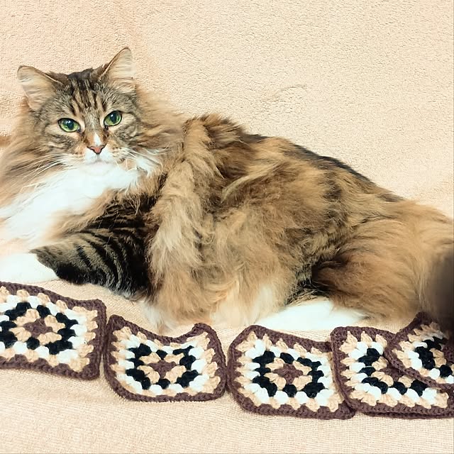 maruwataroさんの部屋