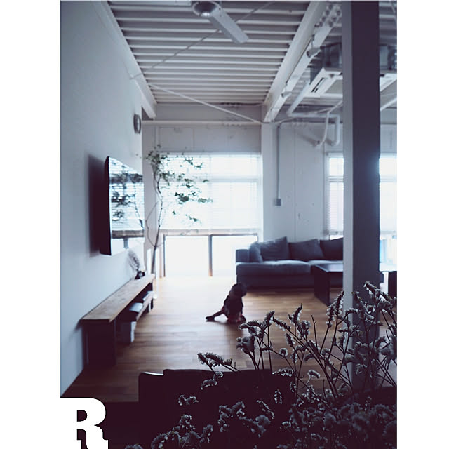 raujikaさんの実例写真