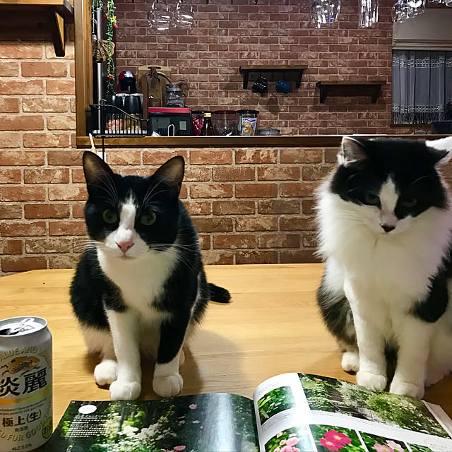 butachanさんの実例写真