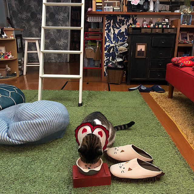 jijiさんの実例写真