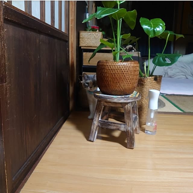 fukuさんの部屋