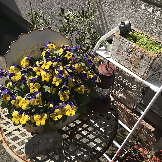 tanomamaさんの実例写真