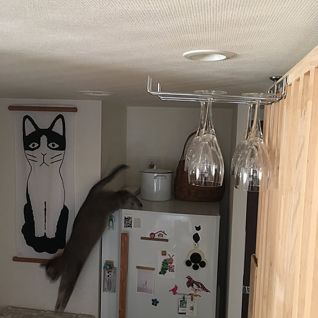 mikomaruさんの実例写真