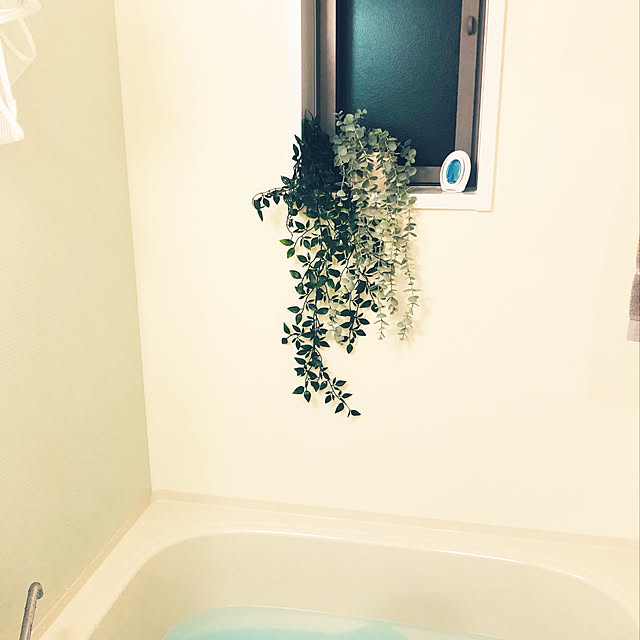 Hisaさんの実例写真