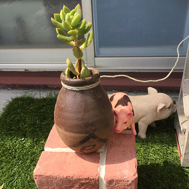 buhibuhiさんの実例写真