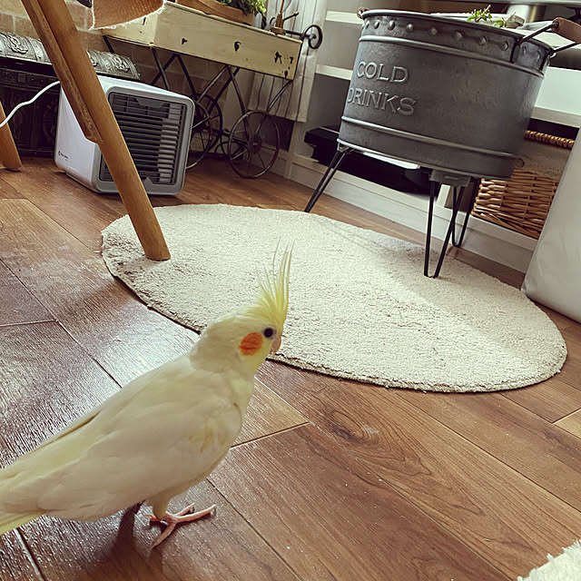 mさんの実例写真