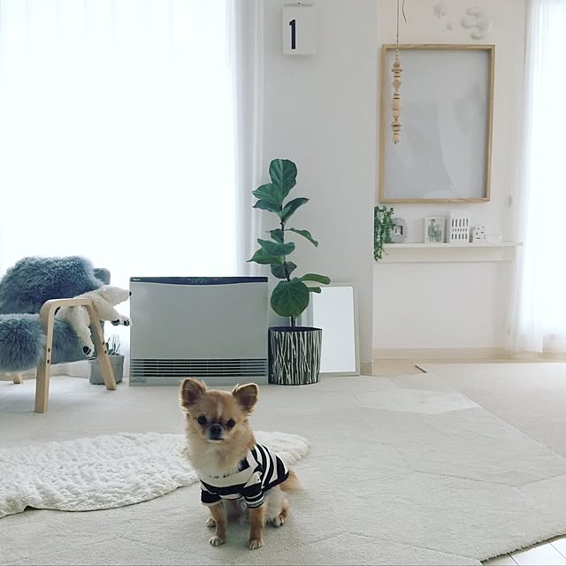 haruhinaさんの実例写真