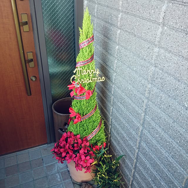 yuu__suzumeさんの実例写真
