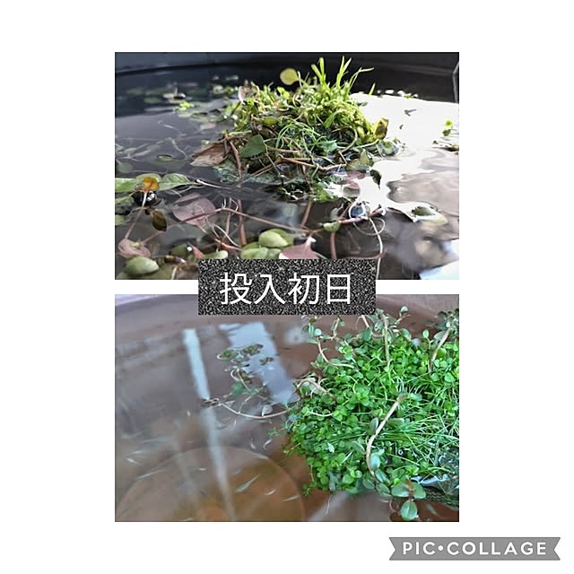 mi-saさんの部屋