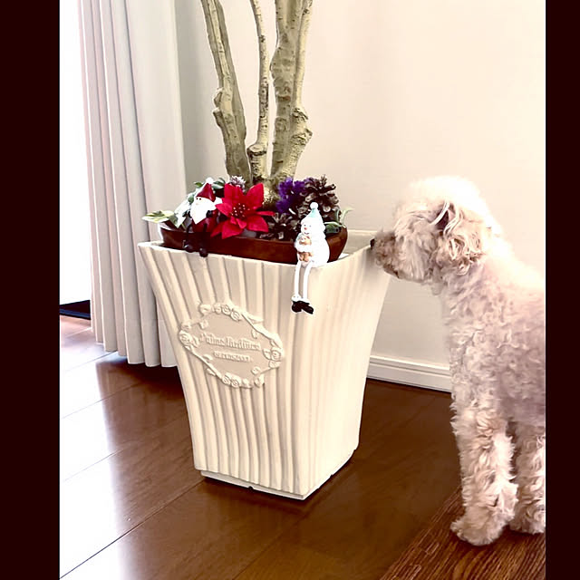 Kasumiさんの部屋