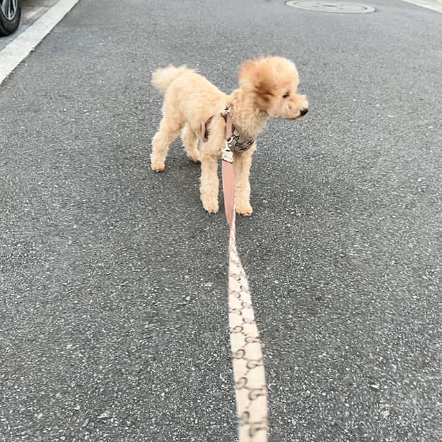 eriharuさんの実例写真