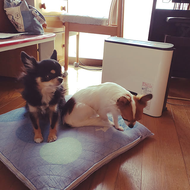 orenさんの実例写真