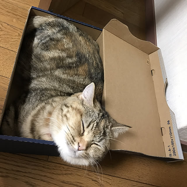 keibooさんの実例写真