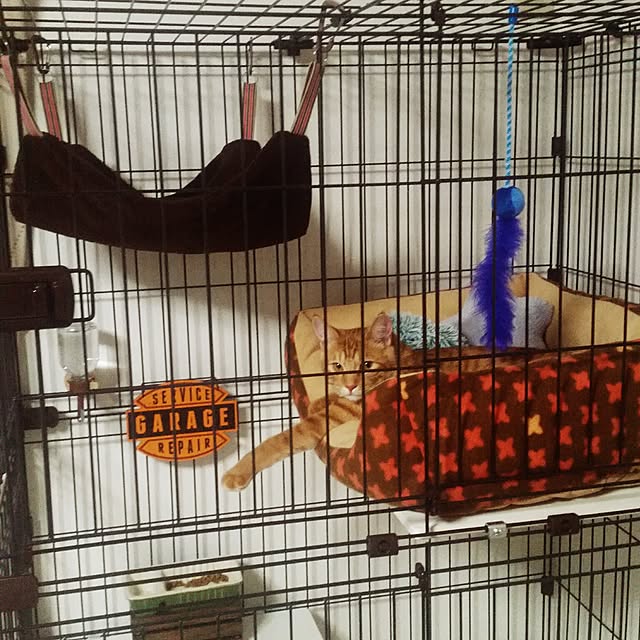 kichiさんの実例写真