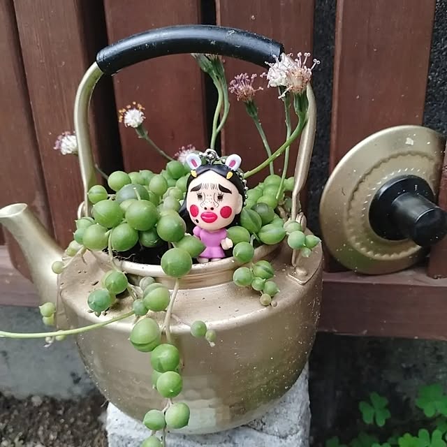tomoさんの部屋