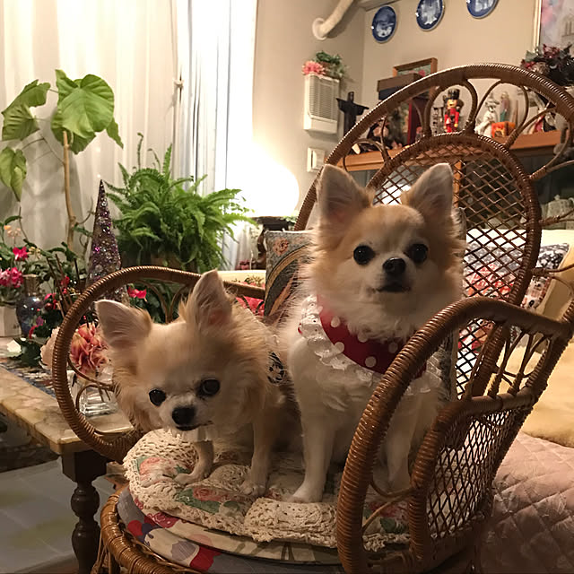 saraminさんの実例写真