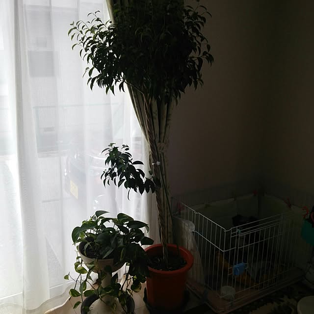 hitomiさんの実例写真