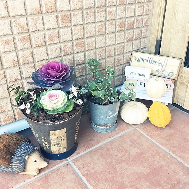 Tomoeさんの実例写真