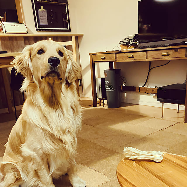 Royさんの実例写真
