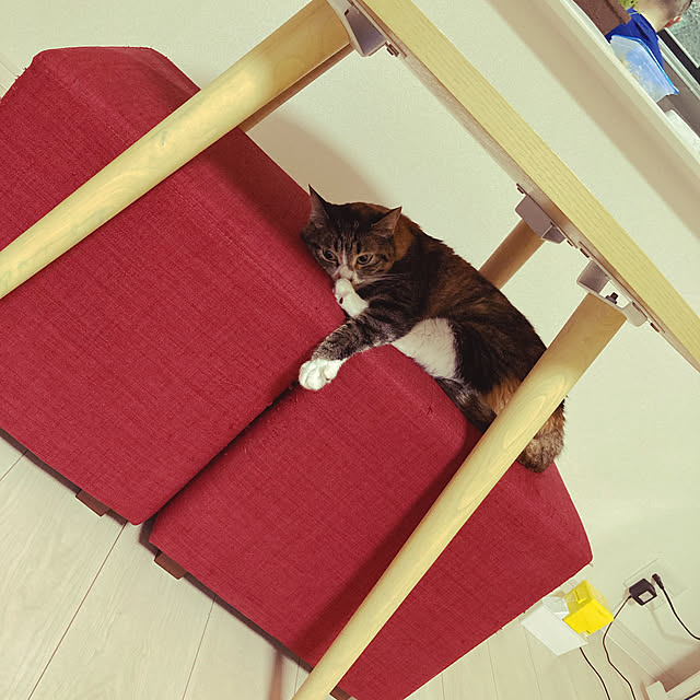 Hanamiruさんの実例写真