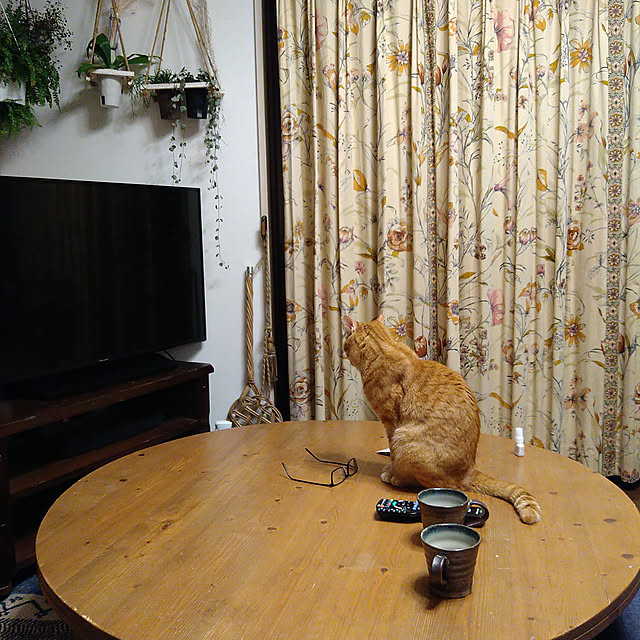 okyosan101さんの実例写真