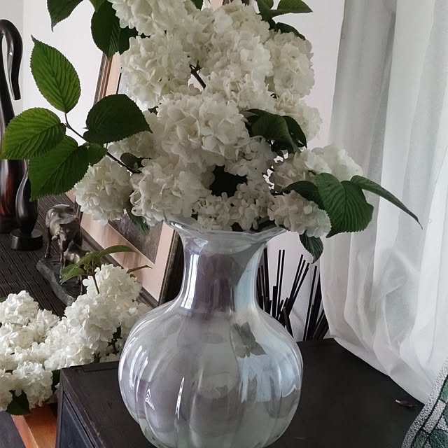 salacocoさんの部屋