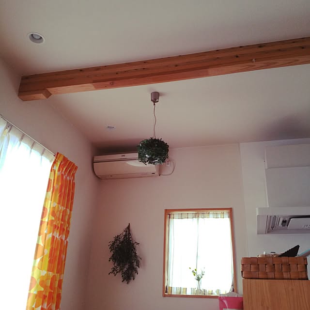 壁/天井のインテリア実例 - 2017-04-26 14:17:28