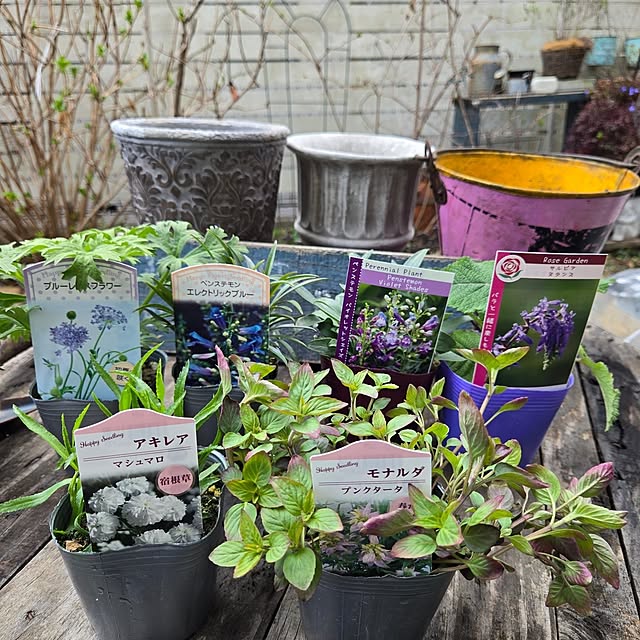 min_nimさんの実例写真