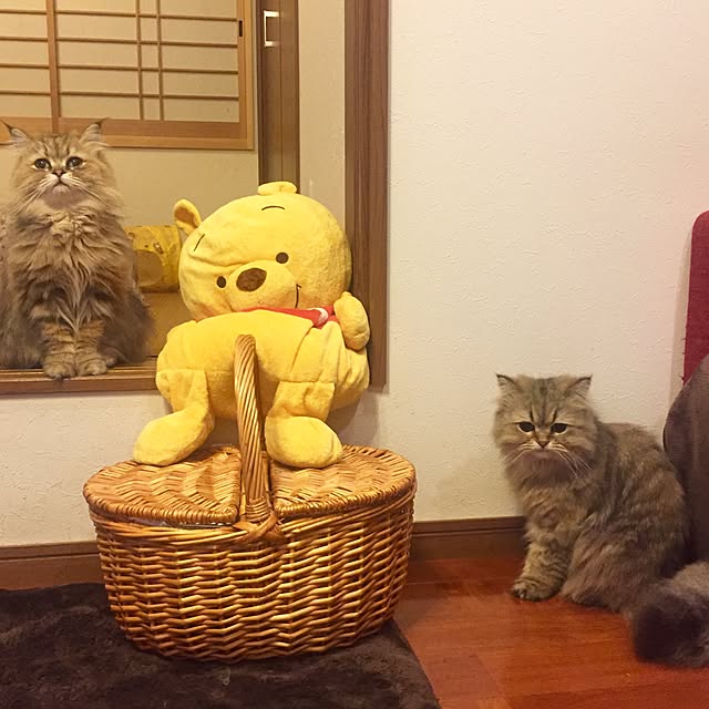 butachanさんの実例写真