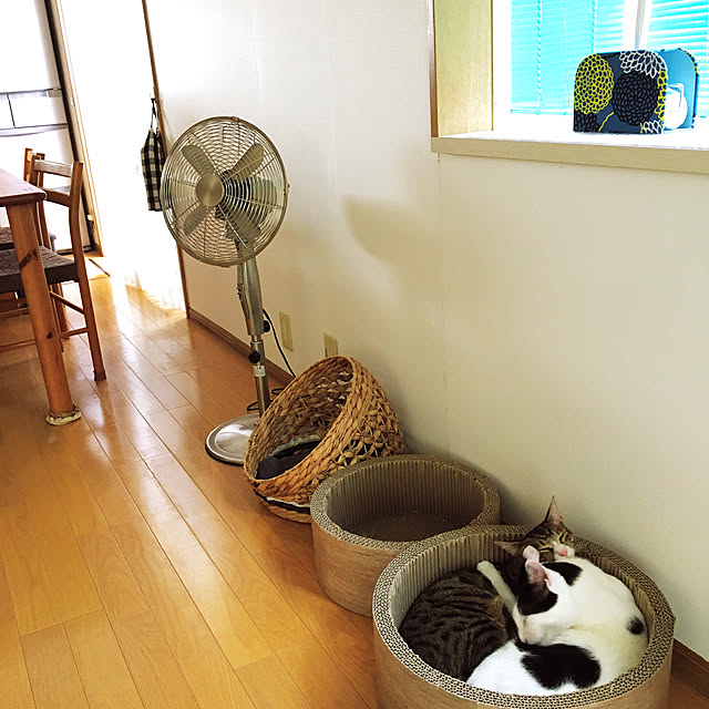 nobikoさんの実例写真