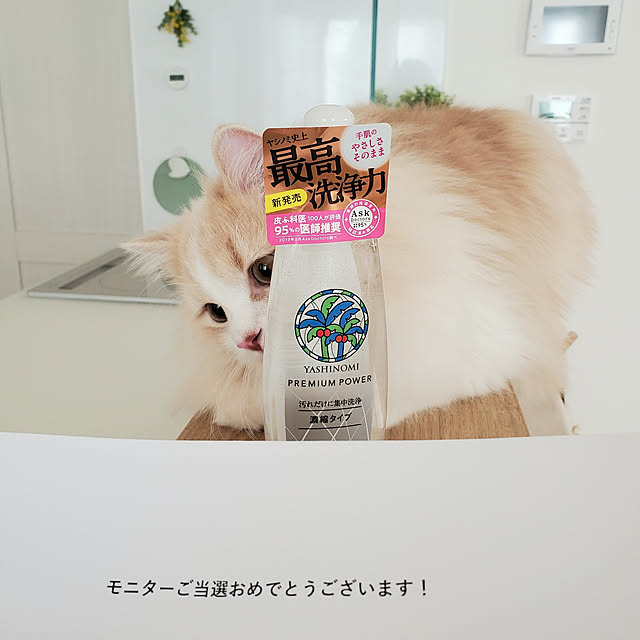 annyaさんの実例写真