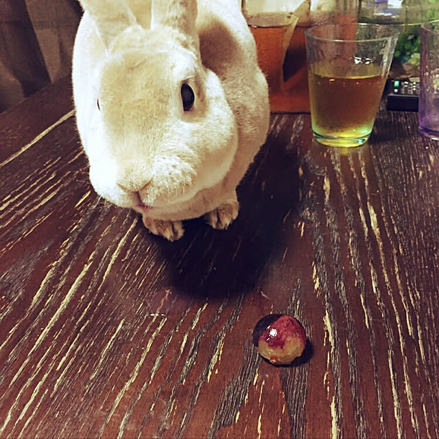 fruityanさんの実例写真