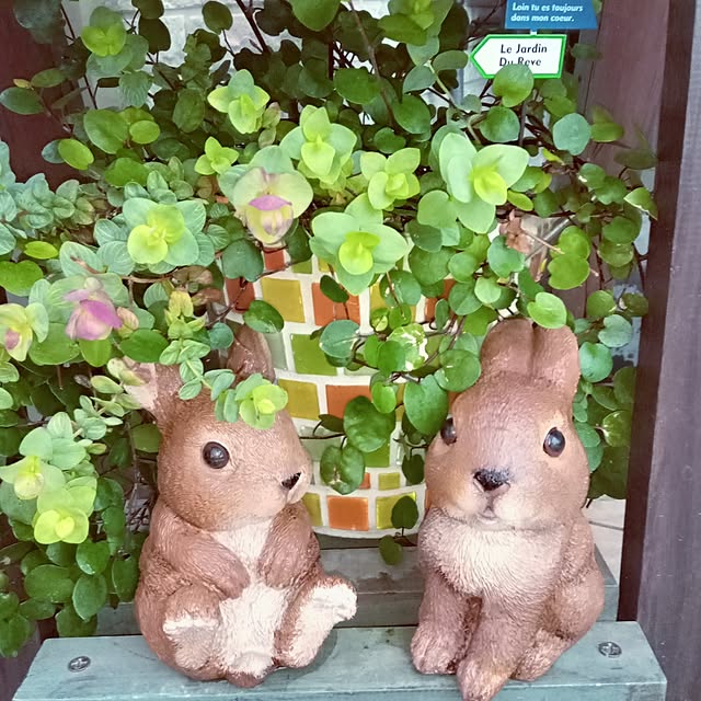mocomocoさんの部屋
